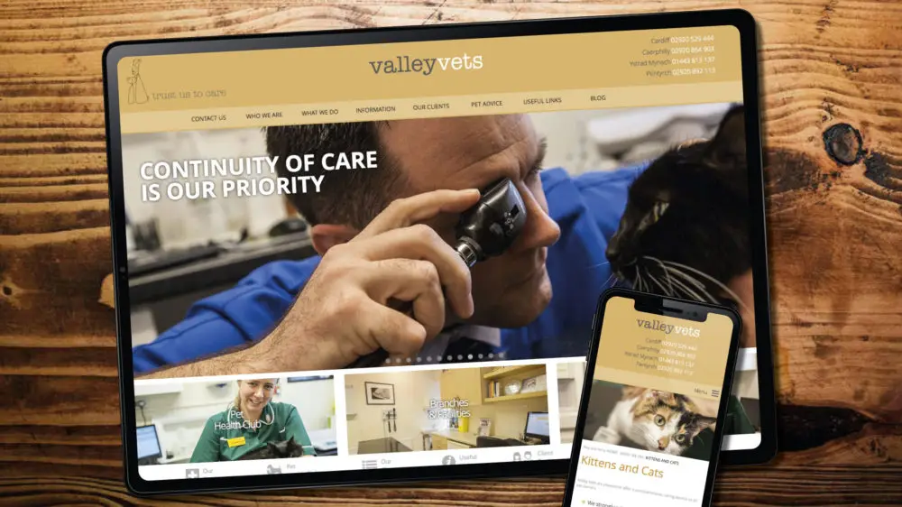 Web design in Cardiff for vets practice